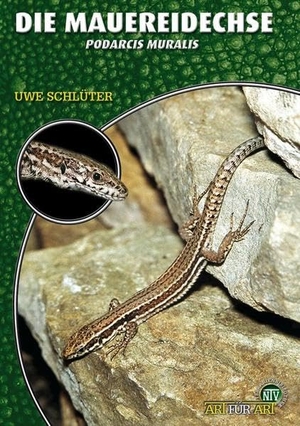 Schlüter, Uwe. Die Mauereidechse. NTV Natur und Tier-Verlag, 2010.