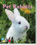 Pet Rabbits