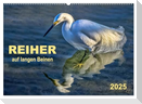 Reiher - auf langen Beinen (Wandkalender 2025 DIN A2 quer), CALVENDO Monatskalender