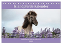Islandpferde Kalender (Tischkalender 2025 DIN A5 quer), CALVENDO Monatskalender