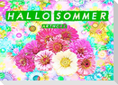 Hallo Sommer - Artwork (Wandkalender 2022 DIN A2 quer)