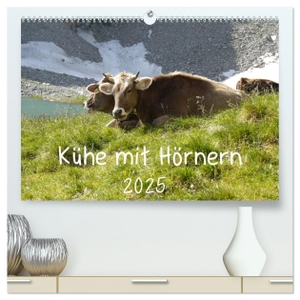 Goldscheider, Stefanie. Kühe mit Hörnern (hochwertiger Premium Wandkalender 2025 DIN A2 quer), Kunstdruck in Hochglanz - Kühe mit Hörnern auf der Weide und bei der Arbeit. Calvendo, 2024.