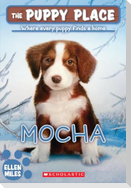 Mocha (the Puppy Place #29)