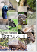 Australiens faszinierende Tierwelt (Wandkalender 2023 DIN A4 hoch)