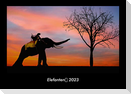 Elefanten 2023 Fotokalender DIN A3