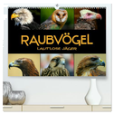Raubvögel - lautlose Jäger (hochwertiger Premium Wandkalender 2025 DIN A2 quer), Kunstdruck in Hochglanz