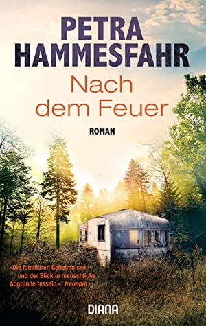Hammesfahr, Petra. Nach dem Feuer - Roman. Diana Taschenbuch, 2021.