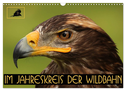 Im Jahreskreis der Wildbahn (Wandkalender 2024 DIN A3 quer), CALVENDO Monatskalender