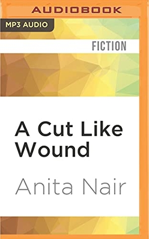Nair, Anita. A Cut Like Wound. Brilliance Audio, 2016.