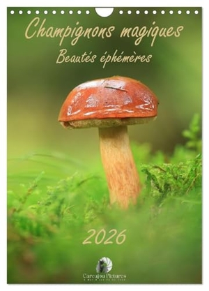 Martzel, Thomas. Champignons magiques - Beautés éphémères (Calendrier mural 2026 DIN A4 horizontal), CALVENDO calendrier mensuel - Un calendrier enchanteur qui révèle, mois après mois, la beauté mystérieuse et éphémère des champignons dans toute leur diversité.. Calvendo, 2025.