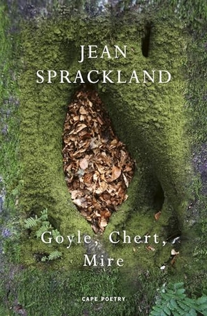Sprackland, Jean. Goyle, Chert, Mire. Vintage Publishing, 2026.