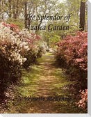 The Splendor of Azalea Garden