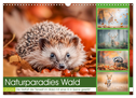 Naturparadies Wald (Wandkalender 2025 DIN A3 quer), CALVENDO Monatskalender