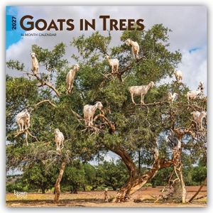 Publishers, Browntrout. Goats in Trees - Ziegen in Bäumen 2027 - 16-Monatskalender - Original BrownTrout-Kalender [Mehrsprachig] [Kalender]. Browntrout Verlags GmbH, 2026.