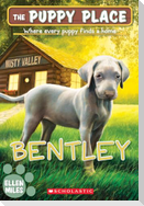 Bentley (the Puppy Place #53)