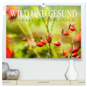 WILD UND GESUND Essbare Wildpflanzen (hochwertiger Premium Wandkalender 2025 DIN A2 quer), Kunstdruck in Hochglanz
