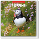 Puffins - Papageitaucher 2027 - 16-Monatskalender