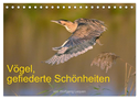 Vögel, Gefiederte Schönheiten (Tischkalender 2024 DIN A5 quer), CALVENDO Monatskalender
