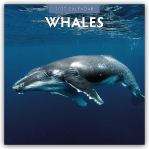 Red, Robin. Whales - Wale 2027 - 16-Monatskalender - Original Red Robin Publishing Ltd-Kalender [Mehrsprachig] [Kalender]. Browntrout Verlags GmbH, 2026.