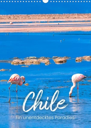 Sf. Chile - Ein unentdecktes Paradies. (Wandkalender 2023 DIN A3 hoch) - Chile! Wo könnte es nur fantastischer sein als in Chile? (Monatskalender, 14 Seiten ). Calvendo Verlag, 2022.