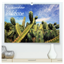 Faszination Kakteen (hochwertiger Premium Wandkalender 2025 DIN A2 quer), Kunstdruck in Hochglanz