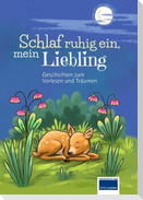 Schlaf ruhig ein, mein Liebling