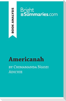 Americanah by Chimamanda Ngozi Adichie (Book Analysis)