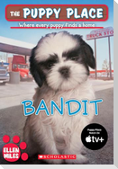 The Puppy Place #24: Bandit