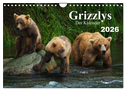 Grizzlys - Der Kalender (Wandkalender 2026 DIN A4 quer), CALVENDO Monatskalender