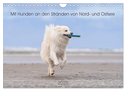 Mit Hunden an den Stränden von Nord- und Ostsee (Wandkalender 2025 DIN A4 quer), CALVENDO Monatskalender