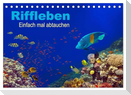 Riffleben - Einfach mal abtauchen (Tischkalender 2025 DIN A5 quer), CALVENDO Monatskalender