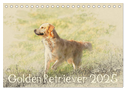Golden Retriever 2025 (Tischkalender 2025 DIN A5 quer), CALVENDO Monatskalender