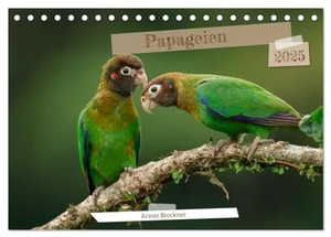 Und Daniel Brockner, Armin. Papageien (Tischkalender 2025 DIN A5 quer), CALVENDO Monatskalender - Die schönsten Vögel der Welt. Calvendo, 2024.