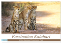 Faszination Kalahari (Wandkalender 2024 DIN A2 quer), CALVENDO Monatskalender