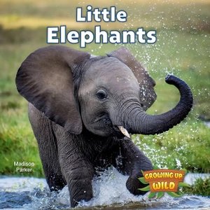 Parker, Madison. Little Elephants. Rosen Publishing Group, Inc, 2025.