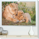 Emotionale Momente: Löwenbabys - so süß. (Premium, hochwertiger DIN A2 Wandkalender 2022, Kunstdruck in Hochglanz)