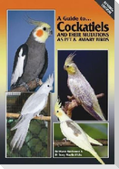 A Guide to Cockatiels and Their Mutations as Pet & Aviary Birds