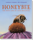 Honeybee