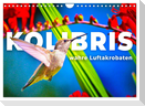 Kolibris - wahre Luftakrobaten (Wandkalender 2024 DIN A4 quer), CALVENDO Monatskalender