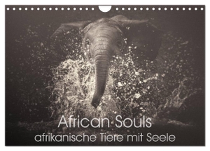 Kulpa, Manuela. African Souls - afrikanische Tiere mit Seele (Wandkalender 2024 DIN A4 quer), CALVENDO Monatskalender - Zauberhafte Tierseelen der afrikanischen Natur. Calvendo, 2023.