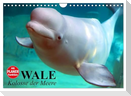 Wale. Kolosse der Meere (Wandkalender 2025 DIN A4 quer), CALVENDO Monatskalender