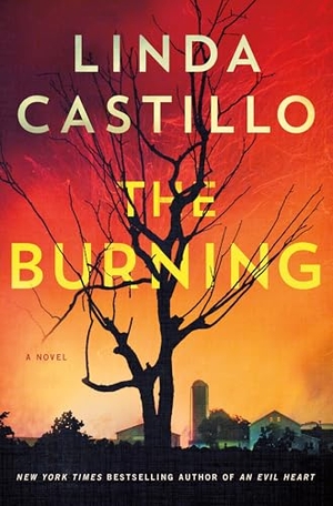 Castillo, Linda. The Burning. St. Martin's Publishing Group, 2024.