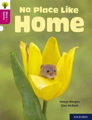Morgan, Hawys. Oxford Reading Tree Word Sparks: Level 10: No Place Like Home. Oxford University Press, 2020.