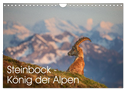 Steinbock - König der Alpen (Wandkalender 2024 DIN A4 quer), CALVENDO Monatskalender