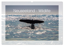 Neuseeland - Wildlife (Wandkalender 2025 DIN A2 quer), CALVENDO Monatskalender