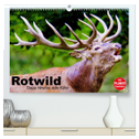 Rotwild. Edle Hirsche, stolze Kühe (hochwertiger Premium Wandkalender 2025 DIN A2 quer), Kunstdruck in Hochglanz