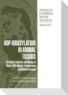 ADP-Ribosylation in Animal Tissues