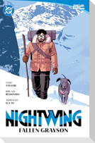 Nightwing Vol. 7: Fallen Grayson