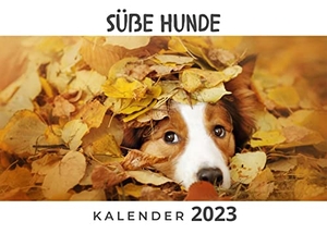 Hübsch, Bibi. Süße Hunde - Kalender 2023. 27Amigos, 2022.