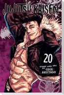 Jujutsu Kaisen, Vol. 20